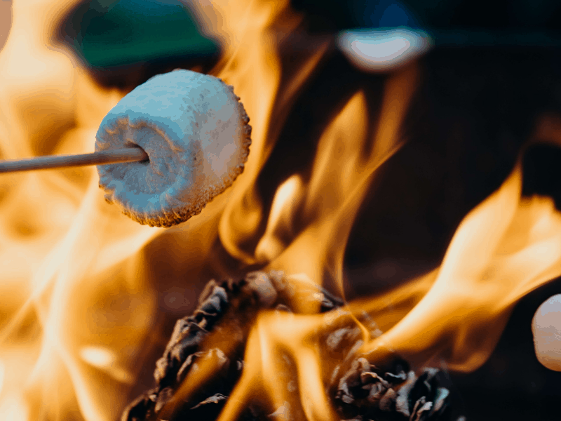 Toasting marshmallows on a flame from a firepit or outdoor fire. Ultimate guide to fireplace cooking for beginners. Authentic cookery ideas for firepit or fireplace cooking to add a smokey flavor to sweet or savory dishes and create a unique fun meal for any gathering.
